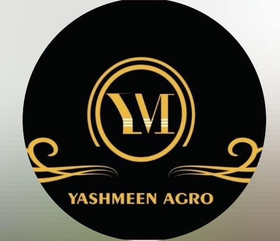 PV Patil Construction Project